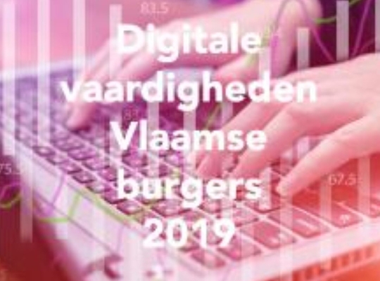 Vlaanderen radicaal digitaal